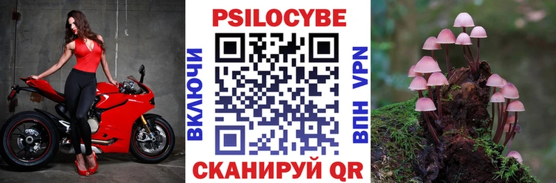 omg ссылки  Кедровый  Псилоцибиновые грибы GOLDEN TEACHER 